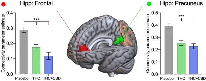 Investigating Sex Differences and Age of Onset in Emotion Regulation, Executive Functioning and Cannabis Use in Adolescents and Young Adults