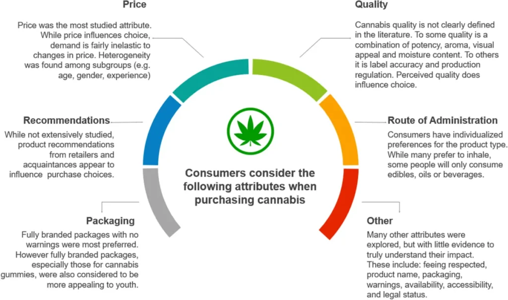 Cannabis Use, Decision Making and Perceptions of Risk Among Breastfeeding Individuals