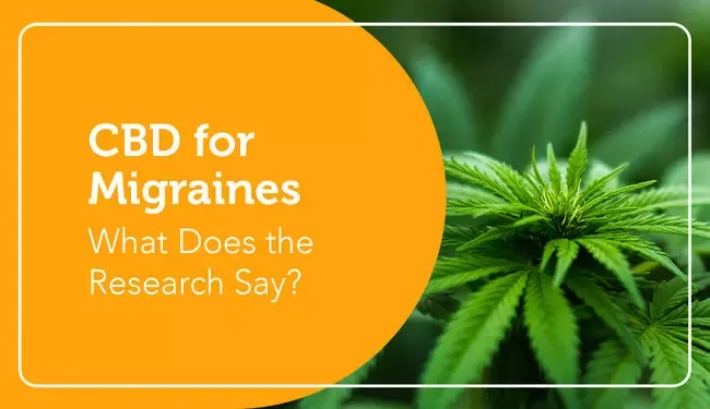 Cannabis for Migraine Relief: What Does the Science Say?