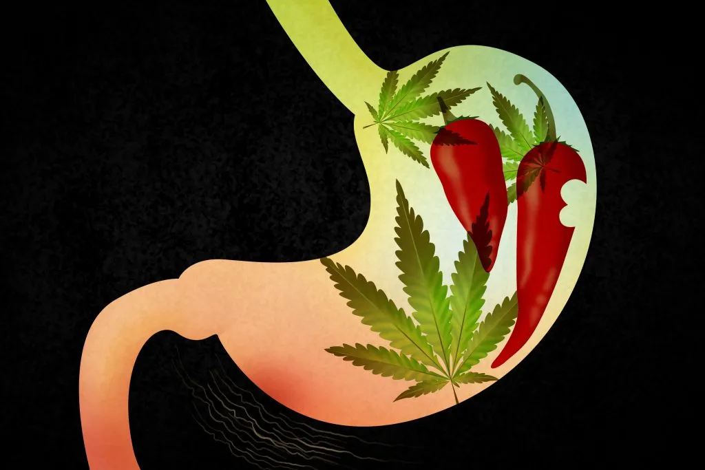 Cannabis and the Gut: Effects on Gastrointestinal Disorders