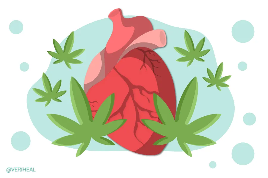 Cannabis and Cardiovascular Health: What We Know So Far