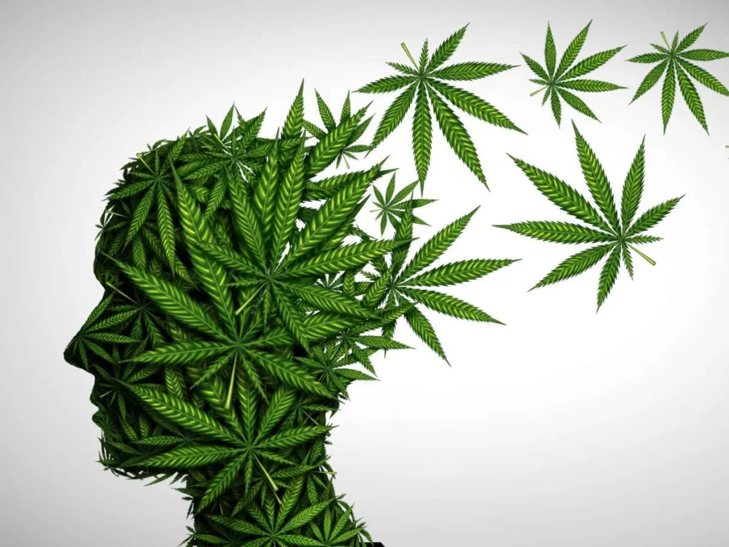 The Endocannabinoid System: How Cannabis Interacts with the Body