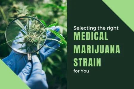 A Guide to Choosing the Right Cannabis Strain for You