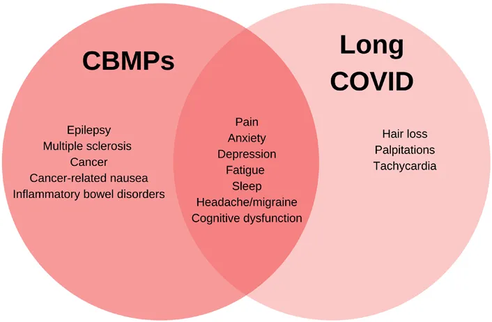 Cannabis Use and Lower Mortality in COVID-19 Patients