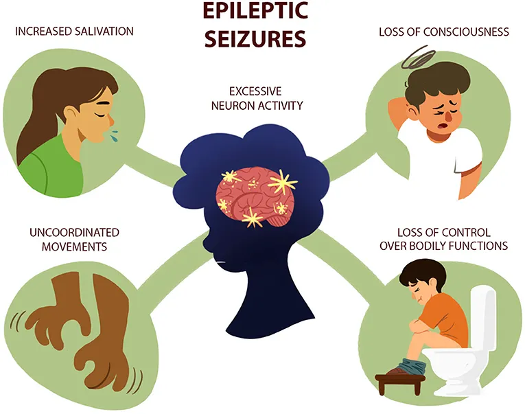 Cannabis and Epilepsy: A Review of Clinical Studies