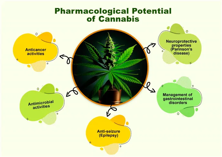 Factors Associated with the Use of Cannabis for Self-Medication