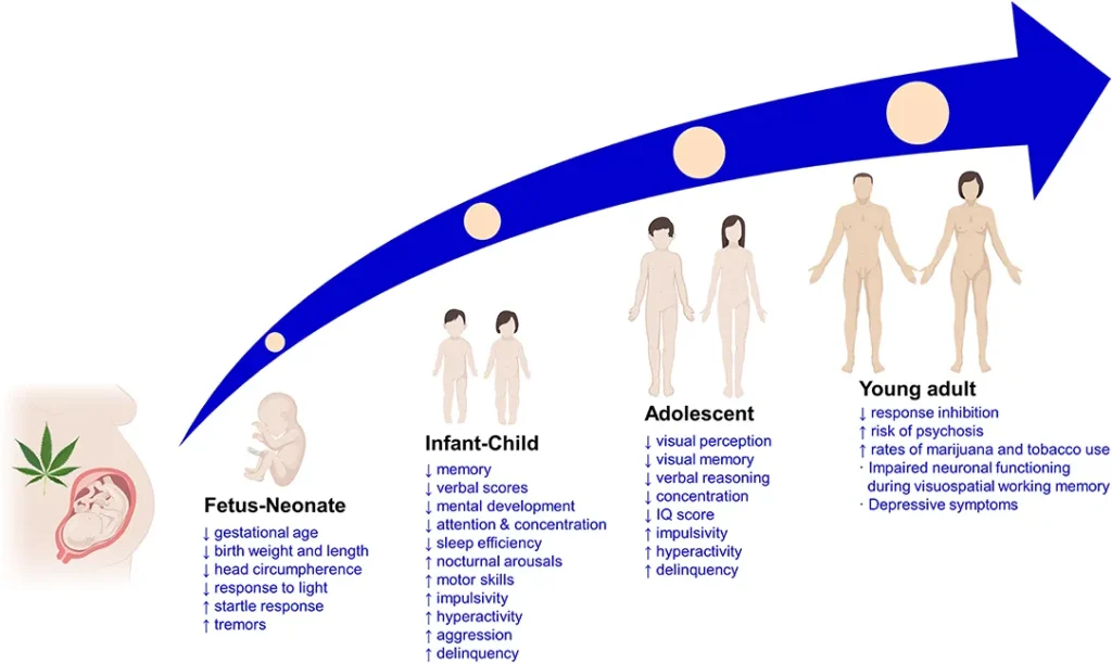 Cannabis Use, Decision Making and Perceptions of Risk Among Breastfeeding Individuals