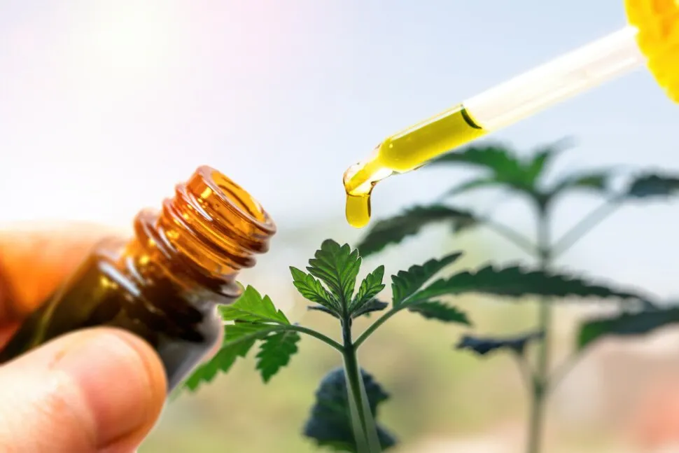 Cannabis for Migraine Relief: What Does the Science Say?