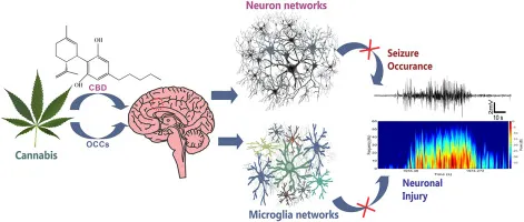 Cannabis and Epilepsy: A Review of Clinical Studies