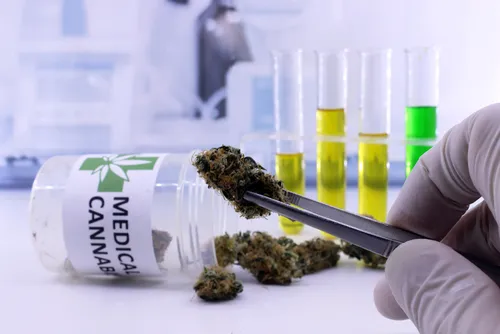 Medical Cannabis and Cancer: What Does the Research Say?